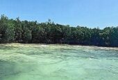 Beachfront Island Property on Turneffe