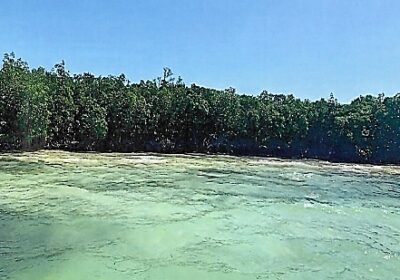 Beachfront Island Property on Turneffe