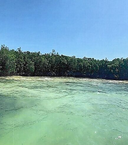 Beachfront Island Property on Turneffe